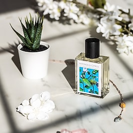 Patchouli Citrus - Eau de Parfum